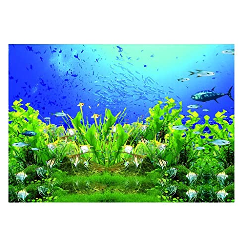 kowaku 3D Einzelbild Hintergrund Aquarium XXL von kowaku