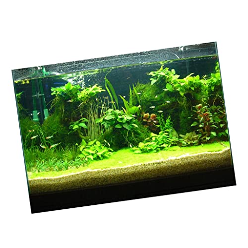 kowaku Aquarium Dekorationspapier, Selbstklebend, Ozeanwelt 6 Varianten - Einseitig, Wasserpflanzen, 61 * 30 cm von kowaku