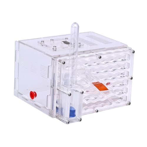 kowaku Housing Nest Lernspielzeug Cage für Dekoration Kindertag Liebhaber kowaku Housing Nest Lernspielzeug Cage für Dekoration Kindertag Liebhaber von kowaku