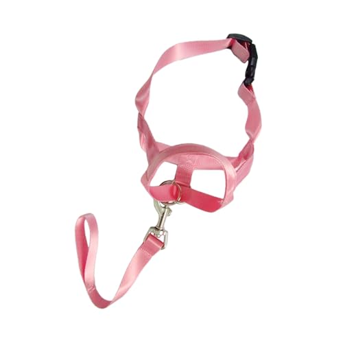 kowaku Hundehalfter Geschirr mit Führer Hund Kein Ziehen Halfter Effektiv Sanft Haustierbedarf Walking Outdoor Verstellbares Hundehalsband, XL von kowaku