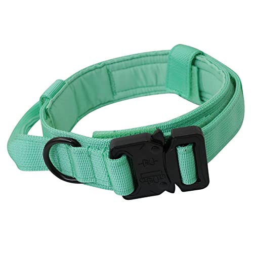 kowaku Nylon Hundehalsband Erziehungshalsband für Welpen Kleine Mittlere Große Hunde, XL Grün von kowaku