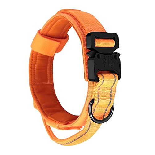 kowaku Nylon Hundehalsband Erziehungshalsband für Welpen Kleine Mittlere Große Hunde, XL Orange von kowaku