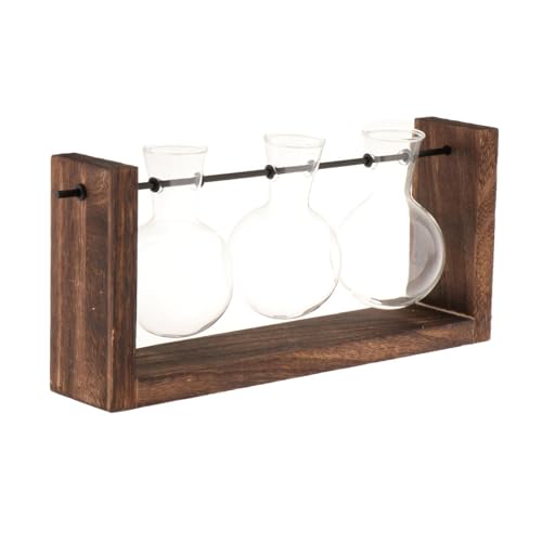 kowaku Terrarium Glaspflanzgefäß mit Holzständer, Wandmontierbar für Regal, von kowaku