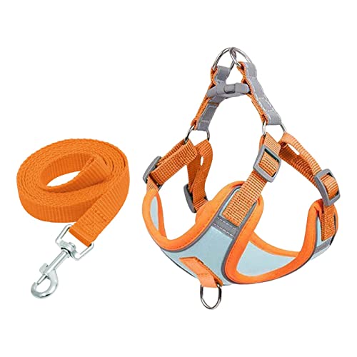 kowaku Welpengeschirr, Hundegeschirr Pull Design Bequemes Haustier Multifunktion Hundegeschirr, Hundegeschirr für Laufen Spaziergang Training Outdoor, M von kowaku