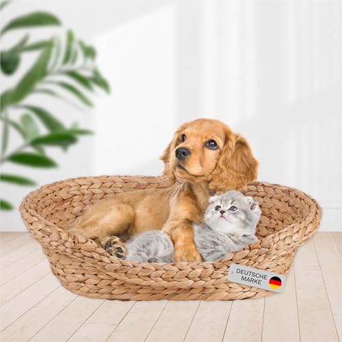 Lycce Katzenbett Hundebett für kleine Hunde | Kissen waschbar bei 30° | ovale Form mit hohem Rand | Wasserhyazinthe | Betten, Decken & Möbel für Katzen | Gr. 1 (53 x 40 x 14 cm) von Lycce