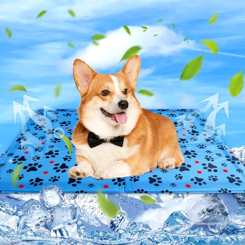 kudmwcc Kühlmatte Hunde Katzen Haustiere 65 X 50cm - Kühldecke Hundebett Für Grosse Hunde kleine Dog,Abkühlung Sommerr,Ungiftiges Gel Kühldecke,Geeignet Für Zuhause Oder Auto von kudmwcc