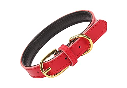 Kuivoo Hundehalsband aus echtem Leder für Welpen, kleine, mittelgroße und große Hunde, verstellbar, weich gepolstert, mit D-Ring, Hunde Halsband Rot (Größe M) von kuivoo