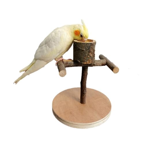 Kleine Vogelkäfig-Sitzstange mit Vogelfütterungstassen, Papageien-Sitzstange, stabiles Vogelkäfig-Spielzeug für Nymphensittiche, Sittiche, für den Innenbereich, Futterbecher für Käfig, von kwoifioy