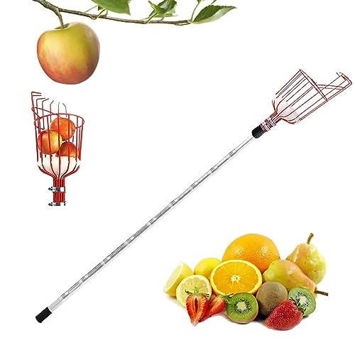 kyaoayo Obstpflücker, Apfelpflücker mit Teleskopstiel, Apfelpflücker mit Korb und Leichter Edelstahl Teleskoppfahl, Kirschenpflücker, Einfach zu Obstgreifer Birnenpflücker Pflaumenpflücker (B, 4.2M) von kyaoayo