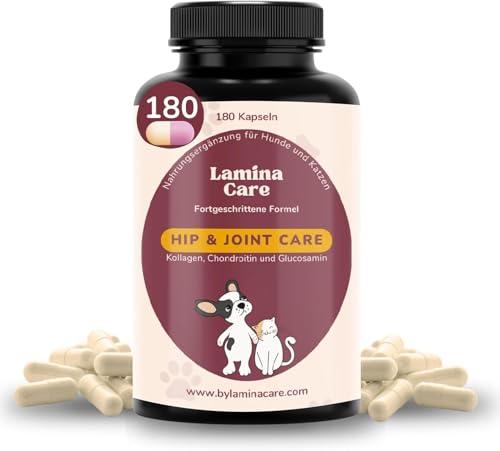 lamina care - Gelenktabletten Hund zur Stärkung von Gelenken und Hüften, Natürlicher Grünlippmuschel Kapseln mit Glucosamin, Chondroitin und Kollagen bei Arthrose Hund (180 Kapseln) von lamina care