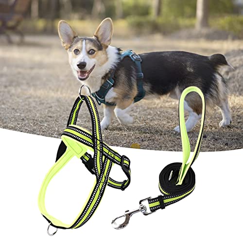 lamphle Haustier-Brustgurt, verstellbar, mittelgroß, Hundeleine, zum Spazierengehen, Laufen, Brustgurt, Hundetraining, reflektierende Leine für große Hunde für Park, XS-fluoreszierendes Grün von lamphle