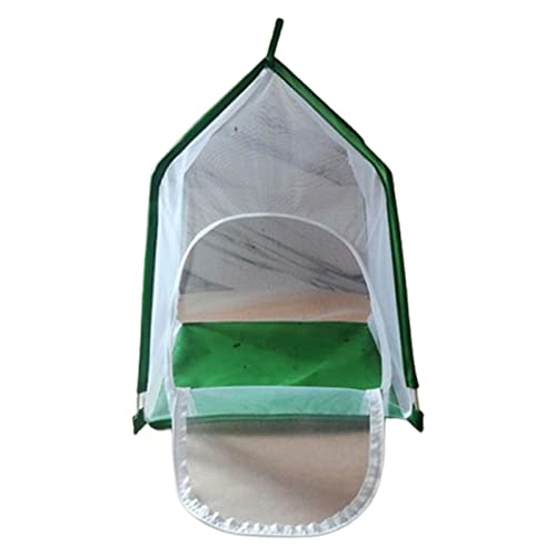 lamphle Schmetterlingsstall Stabil Faltbar Tragbar Cubic Mesh Enclosure Inkubator Schmetterlinge Habitat Cage Pet Supplies Grün von lamphle