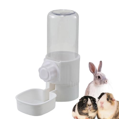 laxreheye Vogel-Wasserspender, Wellensittich Tränke Vögeltränke, Transparenter Trinkbrunnen Für Sittiche Haustiere Für Innen Außen Wohnung Balkon Zuhause Katze Eichhörnchen laxreheye Vogel-Wasserspender, Wellensittich Tränke Vögeltränke, Transparenter Trinkbrunnen Für Sittiche Haustiere Für Innen Außen Wohnung Balkon Zuhause Katze Eichhörnchen von laxreheye