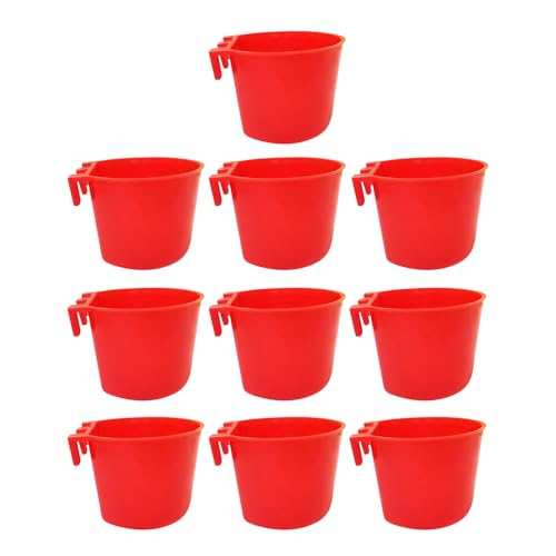 laxreheye Wasserbecher für Hühner | Futterschale für | 10 Stück 240 ml große Öffnung, Platzsparend, Tränke, Futterspender für Hühner, Vögel, , Enten laxreheye Wasserbecher für Hühner | Futterschale für | 10 Stück 240 ml große Öffnung, Platzsparend, Tränke, Futterspender für Hühner, Vögel, , Enten von laxreheye