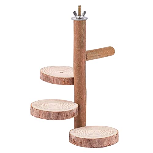 Vogel-Sitzstange, Spielzeug – sichere Holz-Sitzstange, stehende Äste für kleine, mittelgroße Papageien, Wellensittiche, Sittiche – einfach zu installierende Vogelruhen für Garten, Balkon, Terrasse, 2 von lear-au