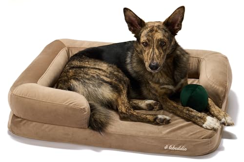 Orthopädisches Hundebett "Kuschelbett" aus Memory-Schaum mit abnehmbarem waschbarem Bezug, Hochwertige Doppelschichtmatratze, wasserdichter Matratzenschoner, für Hunde aller Größen (XL, Braun) von #lebeddie