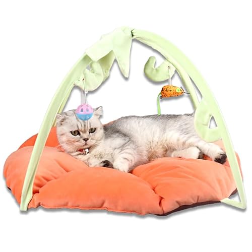 letaofang Neues Katzenbett Katzenzelt Katzenkissen Tierkorb Tierbett Katze Katzen Kitten Interaktives Katzenspielzeug individuelle Spielzeuge Toys von letaofang