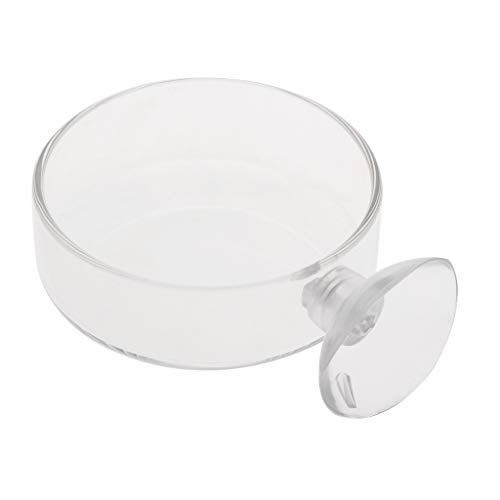 lfdhcn Neuankömmling Aquarium Feeder Aquarium Shrimp Glas Futterschale Clear Dish Tray von lfdhcn