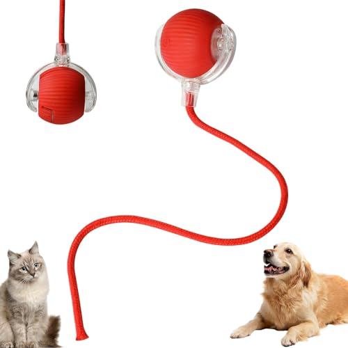 lifetter Chewie Viraler Rollball, Chewie Viral Smart Katzenspielzeug Ball, Chewie Elektrischer Hundeball Spielzeug, Automatischer 360° Rolling Chase Mate Ball, Chewie Doggie Ball, Chewie Ball für von lifetter