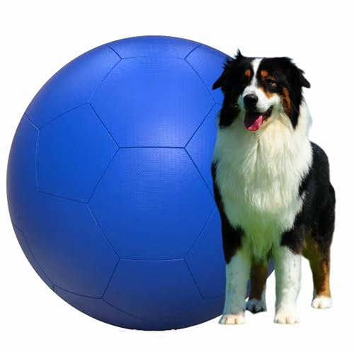 liguanlan Herding Ball für Hunde, groß, 63,5 cm, Blau (63,5 cm) von liguanlan