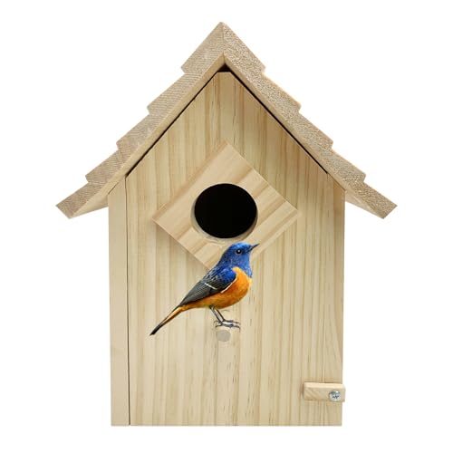 Vogelhäuser aus Holz für draußen, Bluebird Houses für draußen, Kolibrihäuser für draußen, leicht zu reinigen, Vogelhäuser aus Holz mit Sitzstangen für Bluebirds, Kolibris, Schraubenschlüssel, von lilLittle