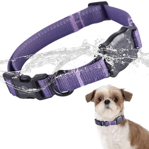 Lionet Paws AirTag Hundehalsband, Farbverlauf, wasserdicht, Airtag-Hundehalsband, IP68, reflektierend, langlebig, für kleine, mittelgroße und große Hunde, Mädchen, Jungen, Geschenk, Größe M, von lionet paws