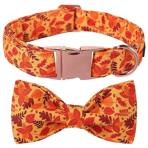 Lionet Paws Autumn Hundehalsband mit Fliege,Rote Blätter Langlebiges Bequemes Baumwolle Halsband mit Metall-Klickverschluss für Hunde und Katzen,Hals 34-55cm von lionet paws