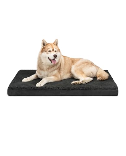 lionto Hundebett orthopädisch, 112x81x8 cm, Robustes Hundekissen mit weichem Plüsch, Bezug abnehmbar & waschbar, wasserabweisend, für kleine & große Hunde sowie Katzen geeignet, schwarz von lionto