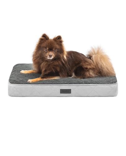 lionto Hundebett orthopädisch, 60x40x8 cm, Robustes Hundekissen mit weichem Plüsch, Bezug abnehmbar & waschbar, wasserabweisend, für kleine & große Hunde sowie Katzen geeignet, grau von lionto