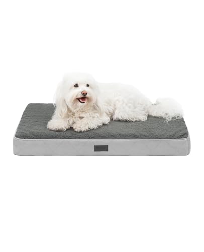 lionto Hundebett orthopädisch, 76x51x8 cm, Robustes Hundekissen mit weichem Plüsch, Bezug abnehmbar & waschbar, wasserabweisend, für kleine & große Hunde sowie Katzen geeignet, grau von lionto