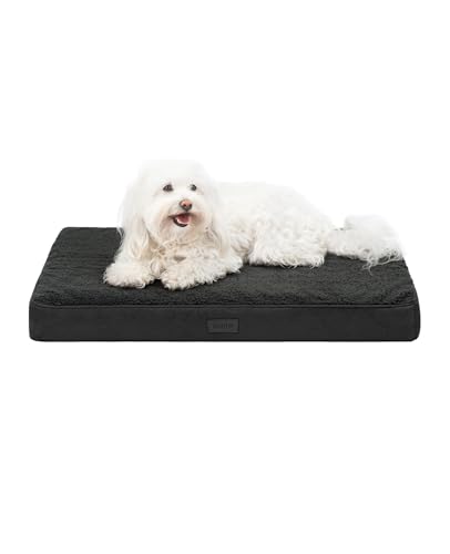 lionto Hundebett orthopädisch, 76x51x8 cm, Robustes Hundekissen mit weichem Plüsch, Bezug abnehmbar & waschbar, wasserabweisend, für kleine & große Hunde sowie Katzen geeignet, schwarz von lionto