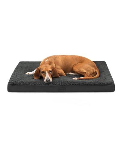 lionto Hundebett orthopädisch, 91x69x8 cm, Robustes Hundekissen mit weichem Plüsch, Bezug abnehmbar & waschbar, wasserabweisend, für kleine & große Hunde sowie Katzen geeignet, schwarz von lionto