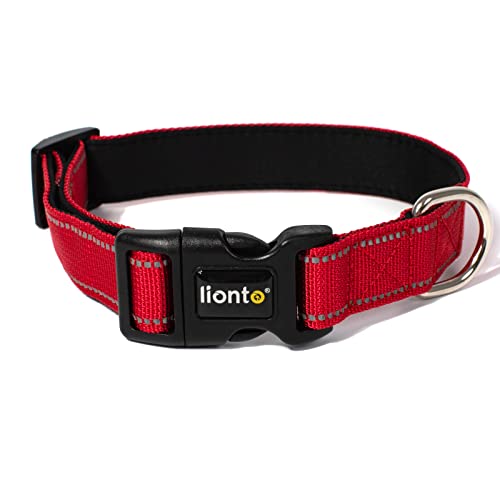 lionto Hundehalsband aus strapazierfähigem Nylon, Größe L, weiches gepolstertes Halsband für Hunde, 360° reflektierend & Klickverschluss, Metallring & Anpassung durch stufenlosen Schieber, rot von lionto