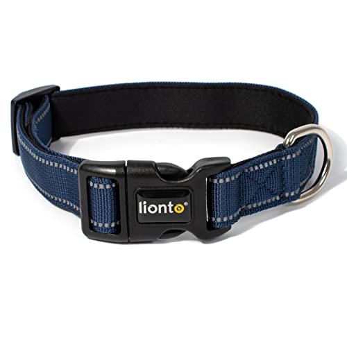 lionto Hundehalsband aus strapazierfähigem Nylon, Größe M, weiches gepolstertes Halsband für Hunde, 360° reflektierend & Klickverschluss, Metallring & Anpassung durch stufenlosen Schieber, blau von lionto