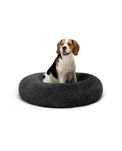 lionto Donutbett für Hunde und Katzen, Flauschiges Hundebett rund für kleine und große Heimtiere, Ø 80 cm, weiches Katzenbett aus kuscheligem Plüsch, Hundekissen mit extra Dicker Füllung, dunkelgrau von lionto