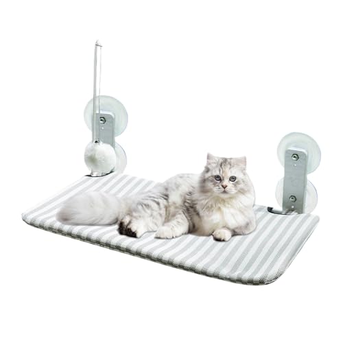 lisutupode Katzen Hängematte,Katzen Hängematte Mit Starken Saugnäpfen - Mit Kissen Für Kätzchen Balkon Terrasse Zimmer Saugnapf Befestigung Drinnen Und Draußen lisutupode Katzen Hängematte,Katzen Hängematte Mit Starken Saugnäpfen - Mit Kissen Für Kätzchen Balkon Terrasse Zimmer Saugnapf Befestigung Drinnen Und Draußen von lisutupode