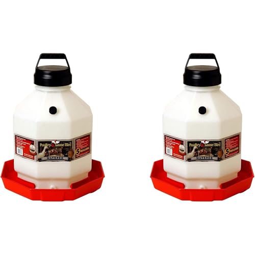 Little Giant PPF5 5 Gallon Automatic Poultry Waterer for Chickens, Red (2 Pack) von little giant