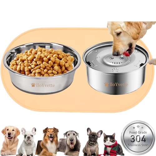 Edelstahl-Wassernapf für Hunde (940 ml) und Futternapf (4 Tassen) mit rutschfestem Platzset, kein Verschütten, langsames Trinken für Welpen, kleine Hunde und Katzen, tolles Geschenk für Haustiere, um von lloYvette