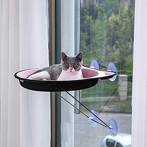 Katzen Hängematte Katzenfenster Bett Sonnenschein Sitz Fenster Hängematte Barsch Kissen Bett Hängeregal Sitz Katze Sonnen Hängematte Saugnapf Hängenest Haustierhaus,Rosa, llxyzrzbhd712 von llxyzrzbhd