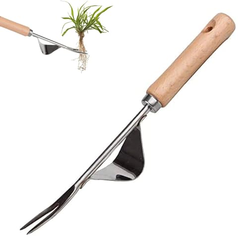 lohill Unkrautstecher Edelstahl, Unkrautjäter mit Stiel, Hand Unkrautstecher, Garten Hand ​Weeder Gartencharme Unkrautjäter, Unkrautjäter Werkzeug Zum Gartengraben, Jäten, Umpflanzen von lohill