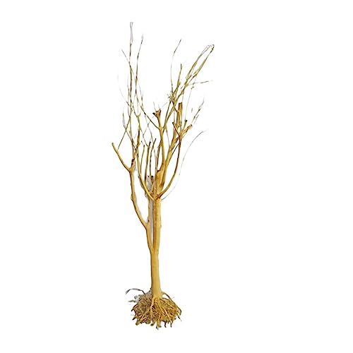 lopituwe Driftwood Aquarium Trunk Tree Mikie Kleines Totholz, das Nicht schwimmt, leicht zu reinigen, kleine Zweige, Wasserfische, Terrariendekoration, Klein von lopituwe