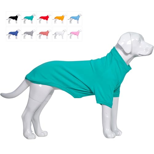 Lovelonglong 2019 Hund Pullover Sweatshirt Herbst Winter Kaltes Wetter Hund T-Shirts für Kleine Mittlere Große Hunde Yorkshire Terrier Zwergspitzkleidung Türkis S von lovelonglong