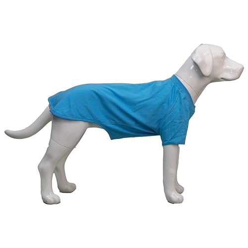 Lovelonglong Hund T-Shirt, 100% Baumwolle, Haustier T-Shirt, Hund-Unterhemd T-Shirts Für mittlere Hunde Lake-Blue XXL von lovelonglong