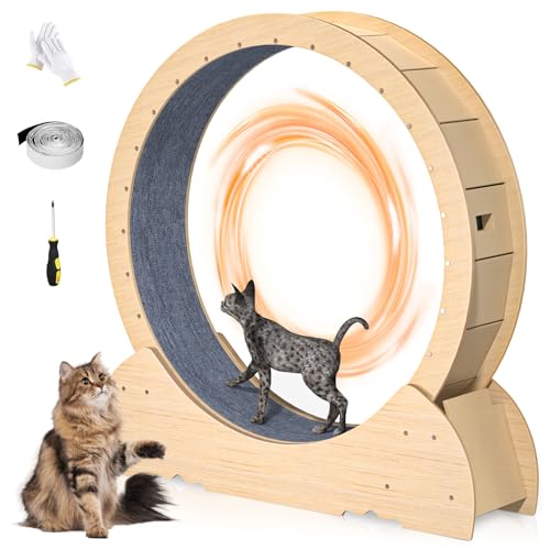 loyliawa Katzenrad, 46 Zoll Katzenräder für Indoor-Katzen, Katzen-Trainingsrad mit Teppichlaufbahn, Katzenlaufband für Indoor-Katzen, Katzen-Trainer, Katzenlaufräder für Fitness und Gesundheit von von loyliawa