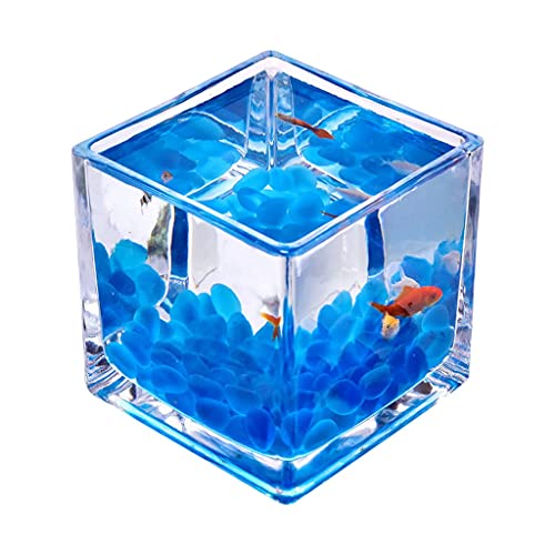 Aquarium Desktop-Quadrat Transparentes Glas Mini Büro Home Kämpfe Fischbehälter Kreative Zierfische Kleine Fische Tank Wasserpflanze Tank Aquarien (Size : 3.94IN) von luckxuan