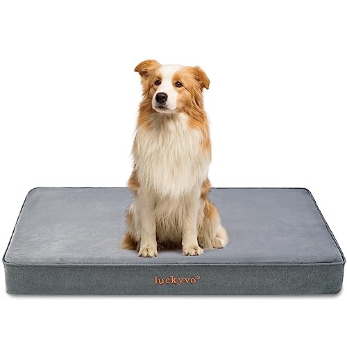 luckyvo Großes Hundebett für große Hunde, orthopädisches Hundebett mit waschbarem, abnehmbarem Bezug, wasserdichtes Hundebett für Kiste, geeignet für 88.9x55.9x7.6 cm, Grau von luckyvo