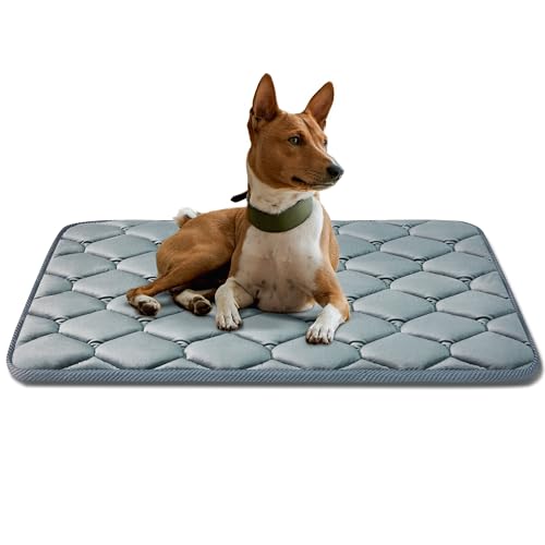 luckyvo Hundekäfig-Matten, weiche Hundehütten-Pads, waschbar mit rutschfester Unterseite, Hundehütten-Pads zum Schlafen, Haustier-Matratze, mittelgroße Hunde (89x55 cm, grau) von luckyvo