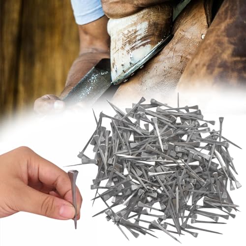 lukar 250 Stück Hufeisen Nägel 5 cm Pferd Hufnägel E5 Edelstahl Hufeisen Nagel Werkzeuge Pferd Training Supplies Pferdeausrüstung Zubehör von lukar