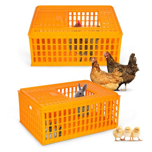 lukar Geflügel-Transportkiste aus Kunststoff, robust, für Hühner, Hühner, Transportbox für 10–13 erwachsene Hühner, Enten, Gänsevögel, 75 x 55 x 33 cm, 2 Stück von lukar