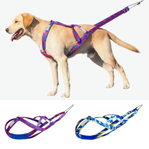 Brust- und Rückengeschirr für Schlitten, geeignet für mittelgroße und große Hunde, Husky, Alaskan, Snowboardleine, Zugseil, Sicherheitsgurt für Hunde (Blau, XL) von lvhrmi